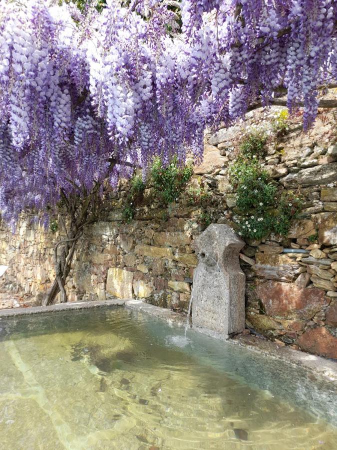 Quinta Das Aranhas Villa Castelo de Paiva Exteriör bild