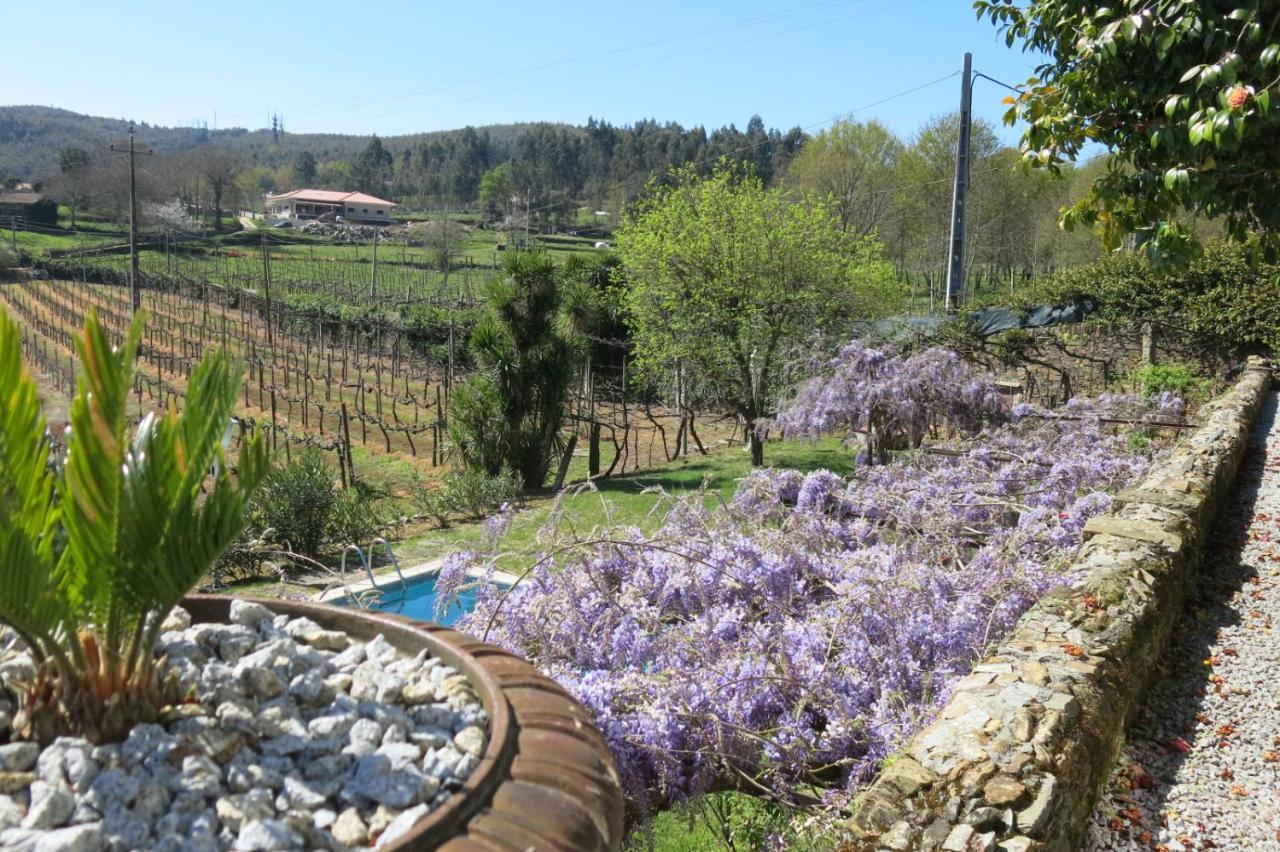 Quinta Das Aranhas Villa Castelo de Paiva Exteriör bild